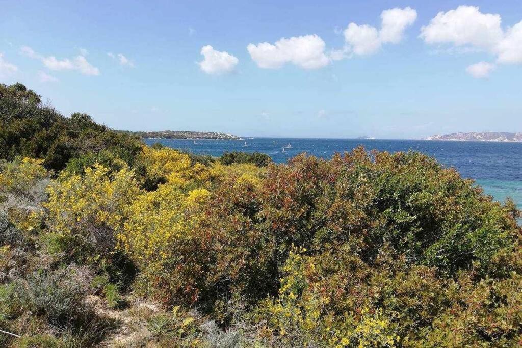 Casa Di Lu' - Bilocale Con Giardino - Porto Pollo Apartman Kültér fotó