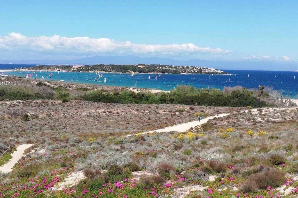 Casa Di Lu' - Bilocale Con Giardino - Porto Pollo Apartman Kültér fotó